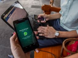 Por cada campaña engañosa hubo al menos 22 millones de víctimas. EL INFORMADOR/Archivo