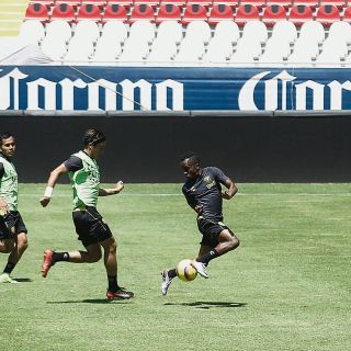 Leones Negros, por la remontada