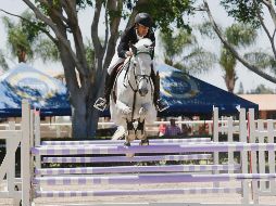 A lomos de “Falomus”, Javier Fernández conquistó la prueba abierta con obstáculos a 1.20 metros ayer en el Guadalajara Jockey Club. EL INFORMADOR/G. Gallo