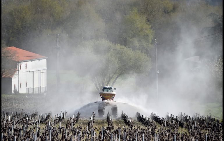 Un campesino rocía químicos para tratar un viñedo en Vertou, en el oeste de Francia. AFP/L. Venance