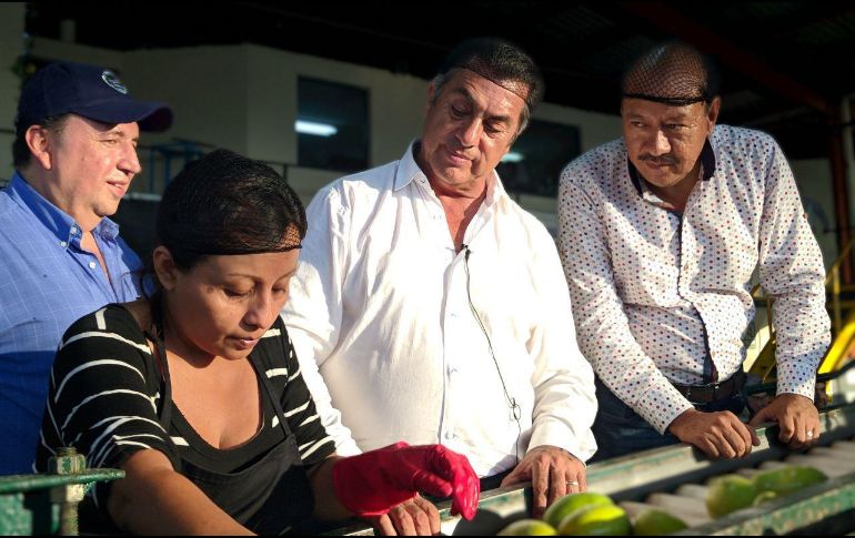 Jaime Rodríguez visitó una empacadora de mangos en Tapachula. FACEBOOK/JaimeRodriguezElBronco
