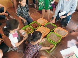 La economía solidaria se basa en dinámicas como el trueque, el intercambio de trabajo o el uso de una moneda social. ESPECIAL/Victor Ibarra