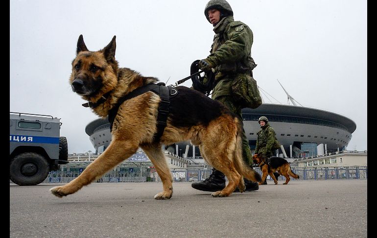 Perros entrenados forman parte del dispositivo de seguridad. AFP/O. Maltseva