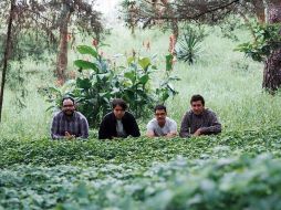 De más a menos: Los Blenders
