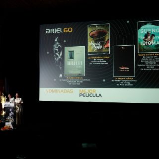 "Sueño en otro idioma" encabeza nominaciones a los Ariel 2018