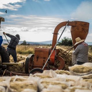 Foro abordará los desafíos agroalimentarios