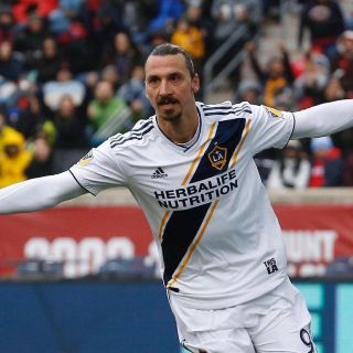 Seleccionador de Suecia cierra la puerta a Ibrahimovic para el Mundial