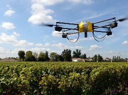 El ganador obtendrá 100 mil pesos para hacer un piloto de su proyecto en Jalisco. AFP/Archivo