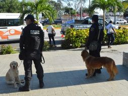 Guerrero es uno de los puntos más azotados por la violencia derivada del narcotráfico. NTX / ARCHIVO