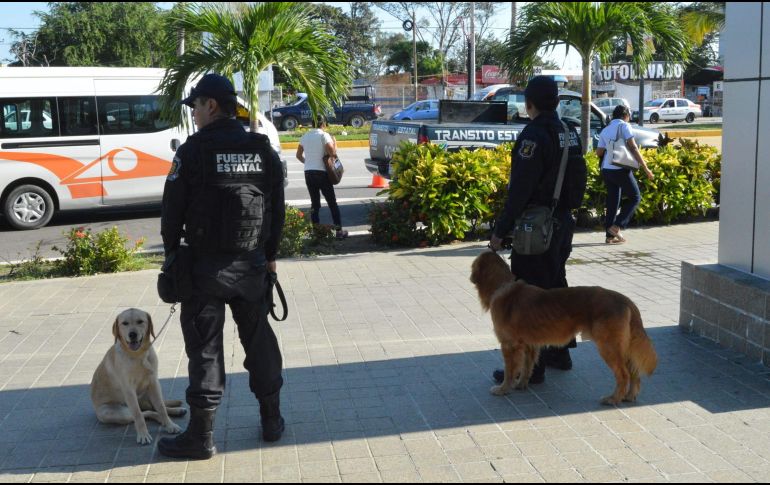 Guerrero es uno de los puntos más azotados por la violencia derivada del narcotráfico. NTX / ARCHIVO