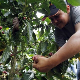 Jalisco registra una disminución en el desempleo en marzo