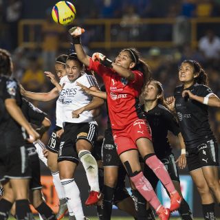 Rayadas da vida a Felinas