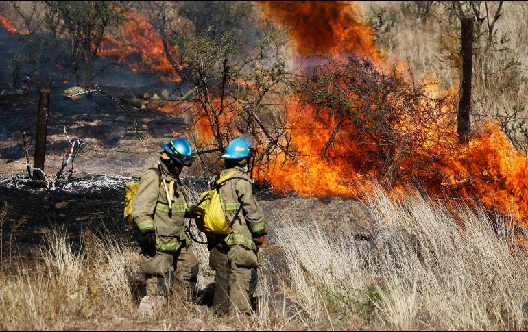 Autoridades exhortan a la población a extremar medidas de precaución para evitar la propagación del fuego en áreas boscosas durante esta temporada. SUN/ARCHIVO