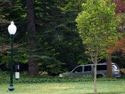 Fotografías de medios locales muestran un trozo de césped amarillento en el mismo lugar donde los mandatarios colocaron el árbol. AP / C. Kaster