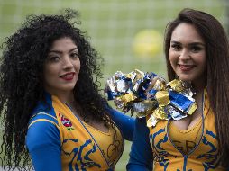 Fotogalería: las Bellezas de la Jornada 17 C 2018