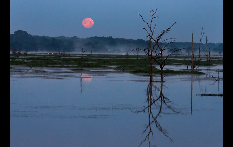 Humo se eleva desde el lago Fork, mientras la Luna se ve detrás de árboles en Emory, Texas. EFE/L. Smith