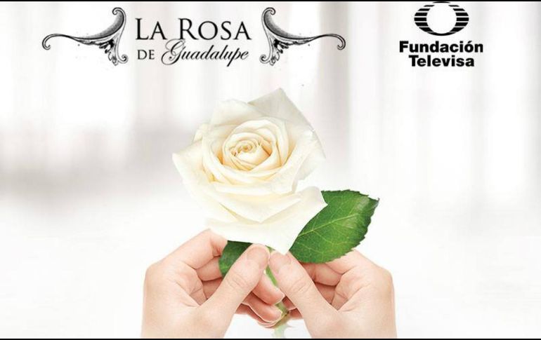 Aunque en el canal Las Estrellas, de Televisa, no tiene contenido para este grupo poblacional ocupa el primer lugar de rating entre los niños,FACEBOOK/La Rosa de Guadalupe