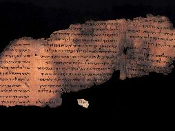 El especialista estudió los minúsculos trozos de piel oscura con la ayuda de un escáner multiespectral, desarrollado por la Agencia Espacial Norteamericana (NASA). EFE/ S. Halevi