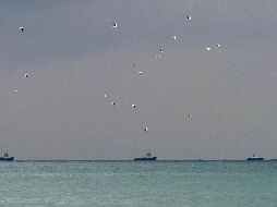 Autoridades comenzaron con la búsqueda del aparato, de cuyo accidente no se conocen mayores datos. EFE/ARCHIVO