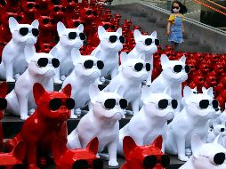 El mundo en imágenes del 3 de mayo de 2018