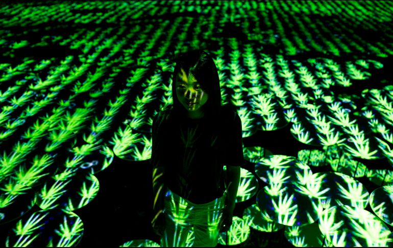 Instalación alusiva a un arrozal. AFP/B. Mehri