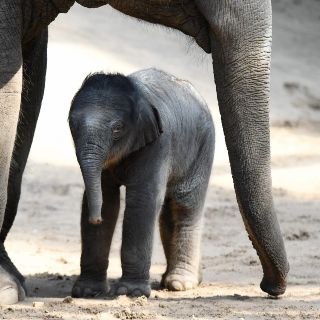 El mundo en imágenes del 7 de mayo de 2018