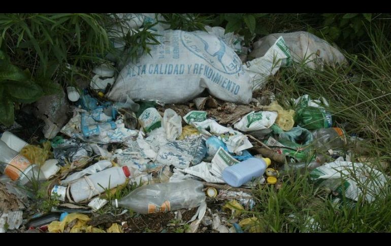 Los deshechos de plástico en el océano matan a millones de aves y mamíferos. EL INFORMADOR / ARCHIVO