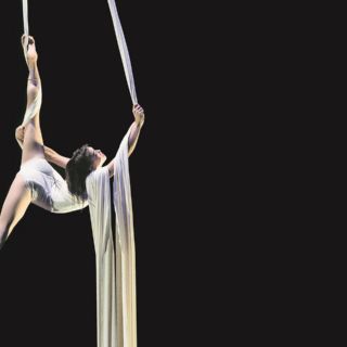 Siete dedos… Circo inspirado en la memoria