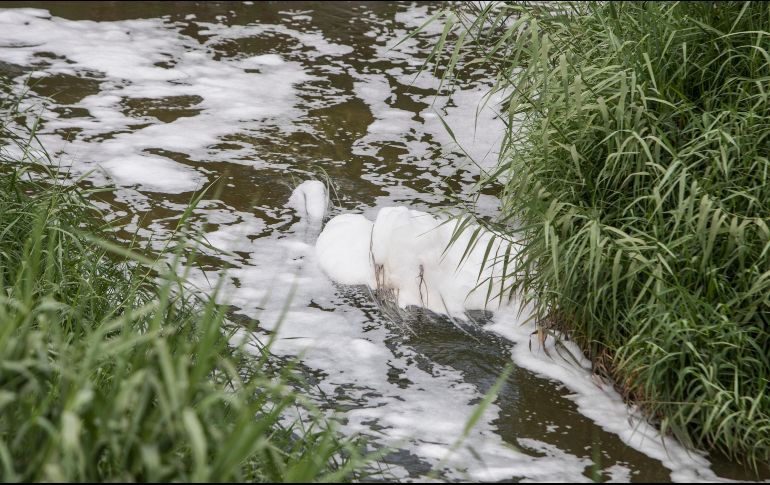 Autoridades municipales llevan a cabo revisiones en las empresas cercanas para detectar irregularidades. EL INFORMADOR