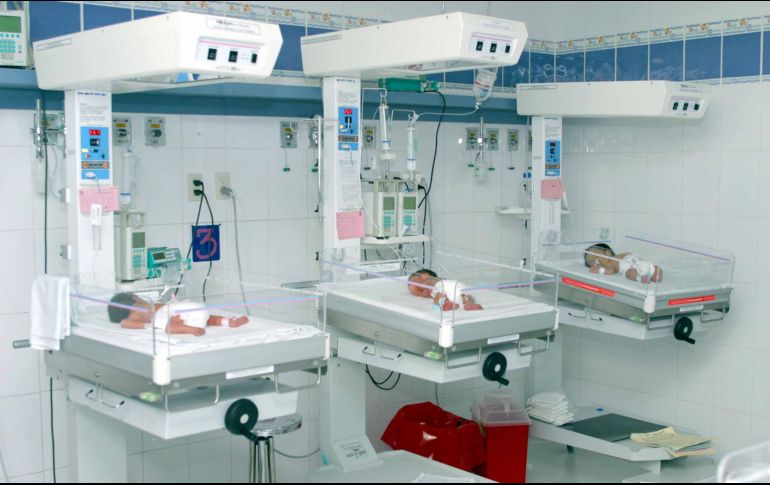 Los menores tuvieron un peso al nacer de 1.569, 1.795 y 1.844 kilogramos respectivamente, y se encuentran en el área de Cuidados Mediatos del Recién Nacido. ESPECIAL / udg.mx