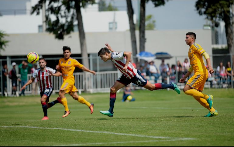 El Rebaño comenzó a dejar espacios desde el inicio, quizá presionados por el 5-0 obtenido en la ida; Tigres se hizo presente en el marco y venció por 3-1 en la vuelta. EL INFORMADOR / F. Atilano