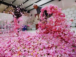 El mundo en imágenes del 14 de mayo de 2018