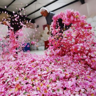 El mundo en imágenes del 14 de mayo de 2018