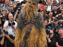 El mundo en imágenes del 15 de mayo