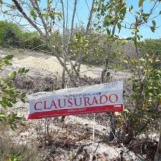  Clausuran proyecto inmobiliario en Isla de Holbox