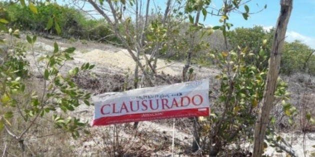 Clausuran proyecto inmobiliario en Isla de Holbox