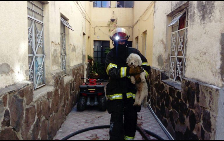 Autoridades precisan que los habitantes no se encontraban en la casa cuando se registró el hecho. ESPECIAL/ Protección Civil y Bomberos de Guadalajara