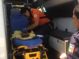 Los bebés y sus madres, fueron enviados al Hospital General de Zapopan, donde ya reciben las atenciones pertinentes. ESPECIAL/