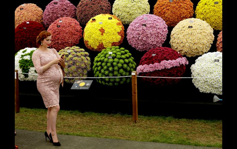Una visitante pasa junto a un arreglo que se exhibe en el marco del Chelsea Flower Show en Londres, Inglaterra. Se trata de una de las exposiciones de flores más prestigiosas del mundo. AP/M. Dunham