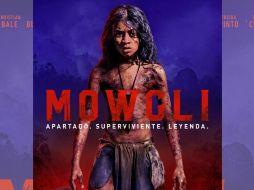 La cinta Mowgli tiene previsto llegar a la pantalla grande el próximo 19 de octubre del 2018. YOUTUBE / @WarnerBrosSpain