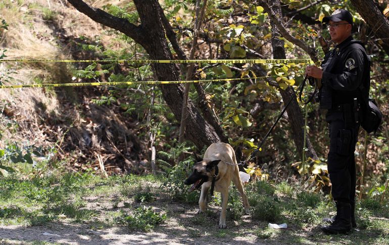 Policías y peritos investigan en el sitio. AFP/U. Ruiz