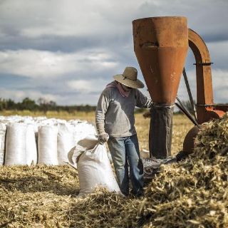 Economía crece 1.1% en el primer trimestre de 2018