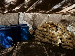 En el caso de Fresnillo, el campamento fue localizado derivado de una denuncia anónima que se recibió la noche del martes. NTX / ARCHIVO