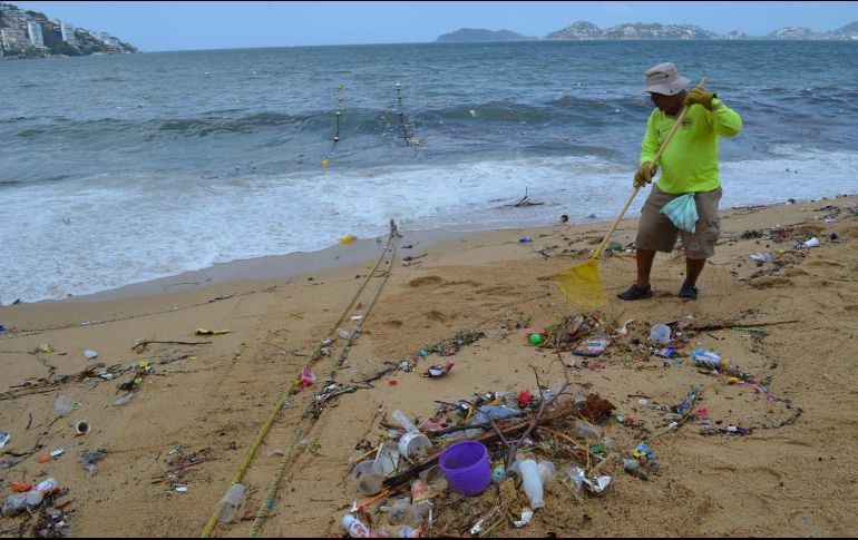 Los plásticos representan el 85 % de la basura marina, cuando reducen su tamaño llegan a los organismos de todos los animales. NOTIMEX/Archivo