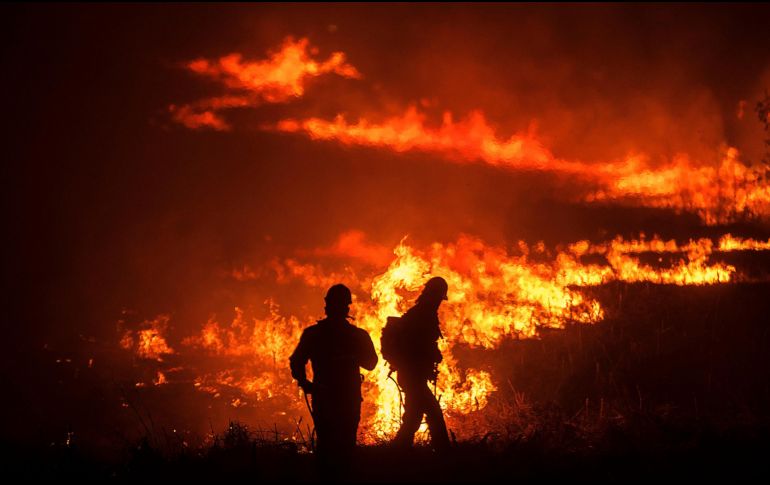 El fuego dañó más de tres mil hectáreas afectadas. EL INFORMADOR/Archivo