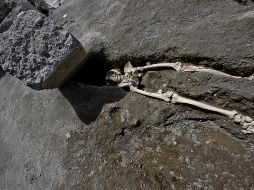 El esqueleto sobresale debajo de un gran bloque de piedra, que podría ser un pedazo vertical de pared pegado a la puerta.  EFE/ C. Fusco