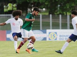 Esfuerzo. El técnico tricolor, “Chima” Ruiz, aplaude el trabajo de sus pupilos. TWITTER/@MISELECCION