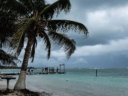 Detalló que de acuerdo con los pronósticos, se esperan siete tormentas tropicales, cuatro huracanes categoría 1 a 2 y tres huracanes categoría 3 o superiores. AFP / ARCHIVO