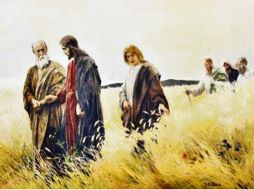 Aparentemente, Cristo quebranta la ley del sábado. En realidad hace entender su espíritu, deja entrever sus implicaciones más profundas. ESPECIAL