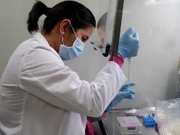 Declaran que la salud en México debería ser vista desde un ángulo predictivo, preventivo, personalizado y participativo. EL INFORMADOR/ARCHIVO